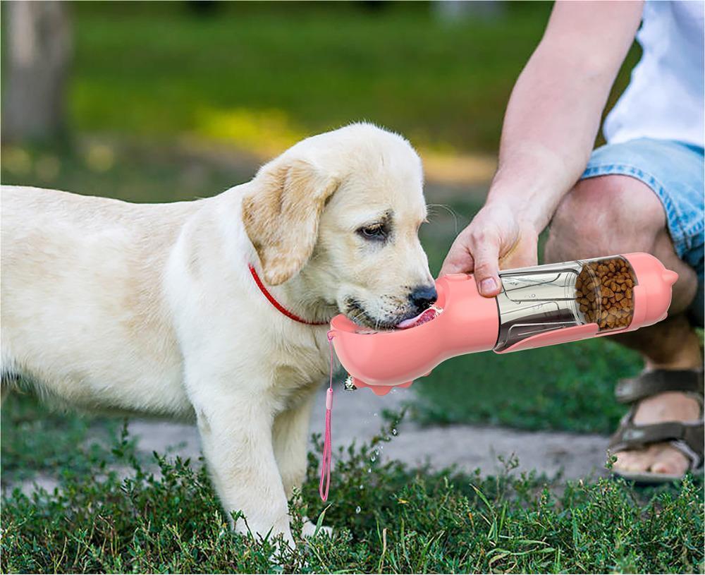 portable dog water bottle